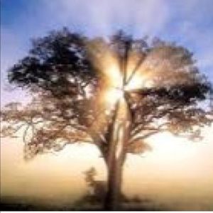 Meet your Posher, Nate